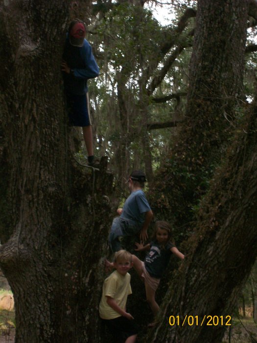 2012-Jan-02HGR4X4Croom 107